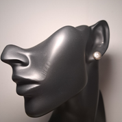 Silver Earrings Studs