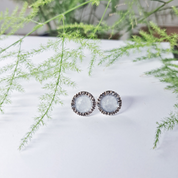 Silver Earrings With Resin
