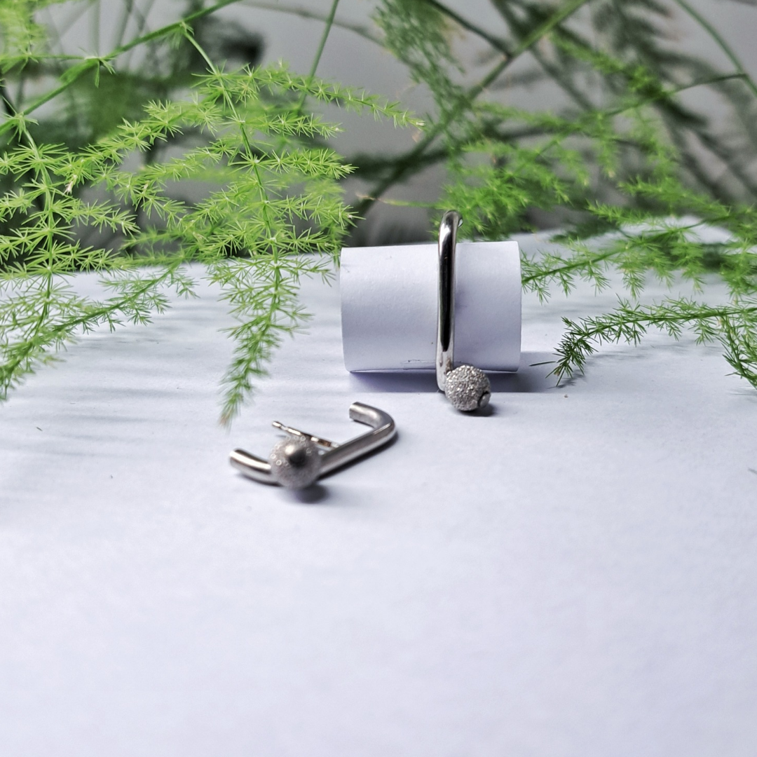 Silver Earrings