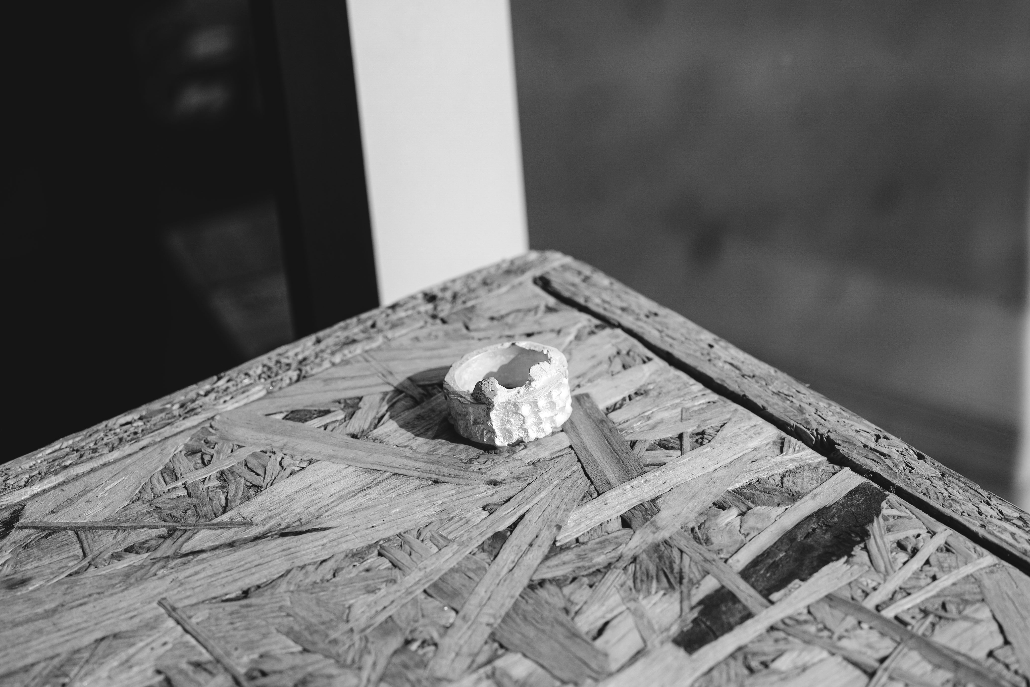 DSC_3546-2.jpg